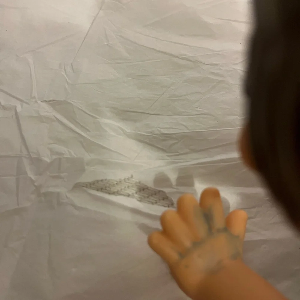 BABY ALIVE CRAWL POSITION DOLL EATS/POOPS from 2021 Hasbro‎ collection PRE-owned